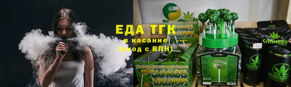 соль ск Новозыбков