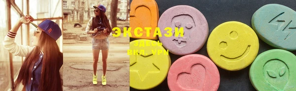 соль ск Новозыбков
