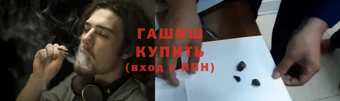 соль ск Новозыбков