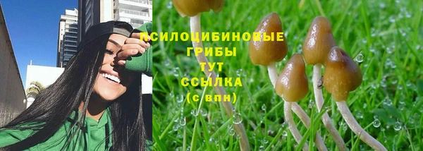 соль ск Новозыбков