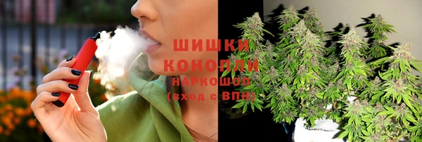 соль ск Новозыбков