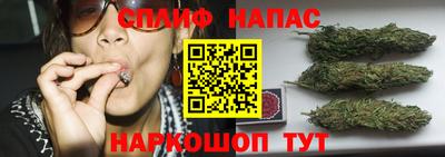 трава Аргун