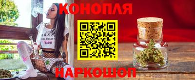 прущие грибы Апшеронск