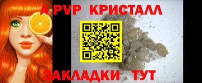 прущие грибы Апшеронск